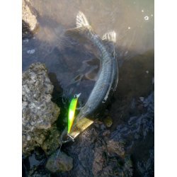 Bearking Realis Jerkbait 100SP Цвет E  14.5г Суспендер Цвет E