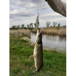 Bearking Orbit 110SP 17 г Суспендер Цвет N