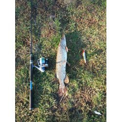 Bearking Varuna 110SP 17 г Суспендер Цвет K