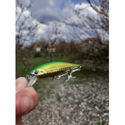 Воблер Bearking Pointer 65SP 65мм 6.2г Суспендер Цвет F