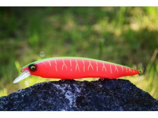 BearKing Kanata 160F