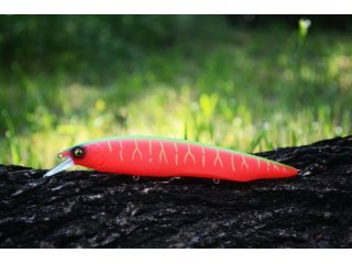 BearKing Kanata 160F