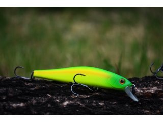 BearKing Rigge 90SP